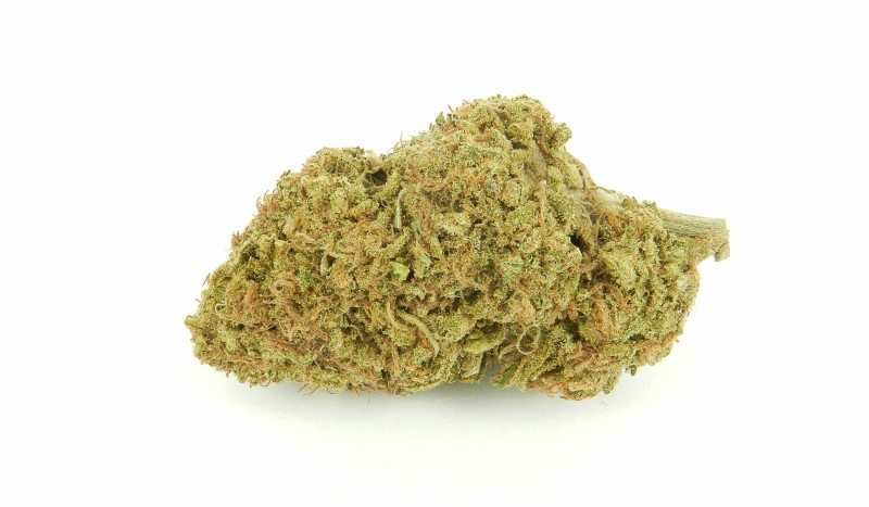 Pineapple Express - PHOTO - NUKEHEADS GENETICS